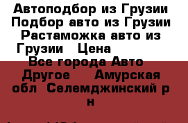 Автоподбор из Грузии.Подбор авто из Грузии.Растаможка авто из Грузии › Цена ­ 25 000 - Все города Авто » Другое   . Амурская обл.,Селемджинский р-н